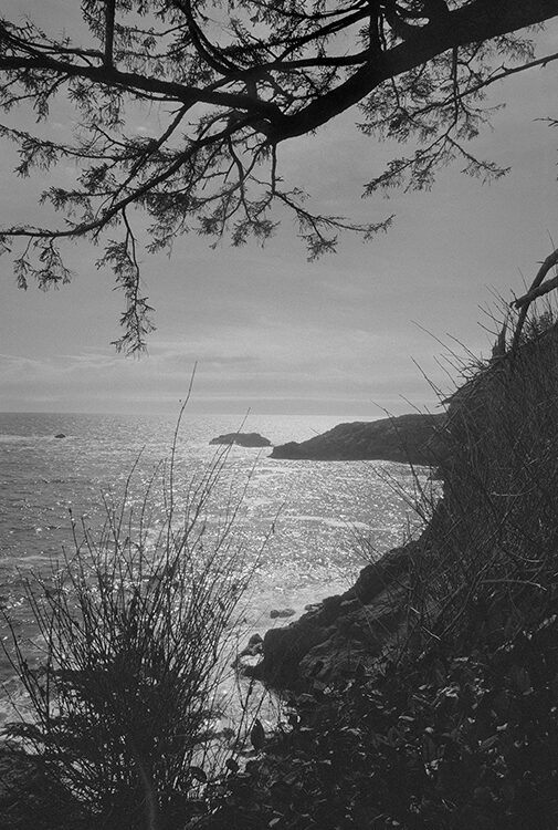 balck and white coastal photography: vancouver