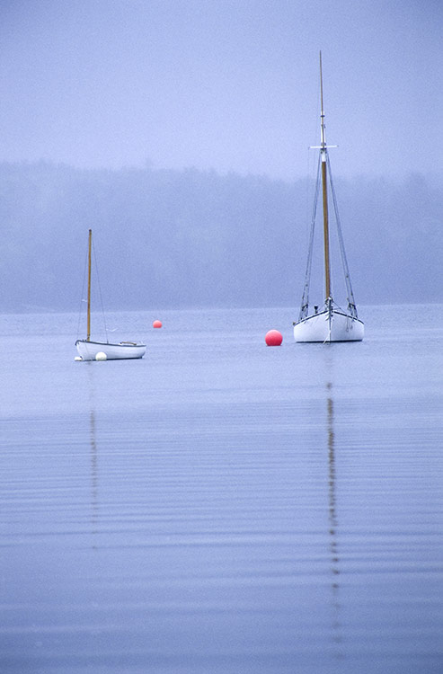 Film photograph: northern maine