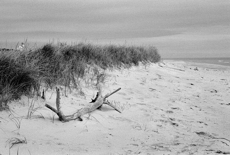 Coast Guard Beach