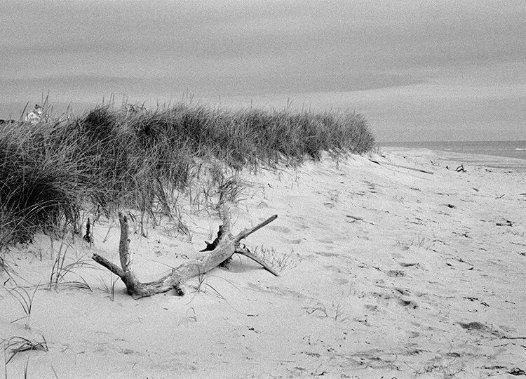 Coast Guard Beach