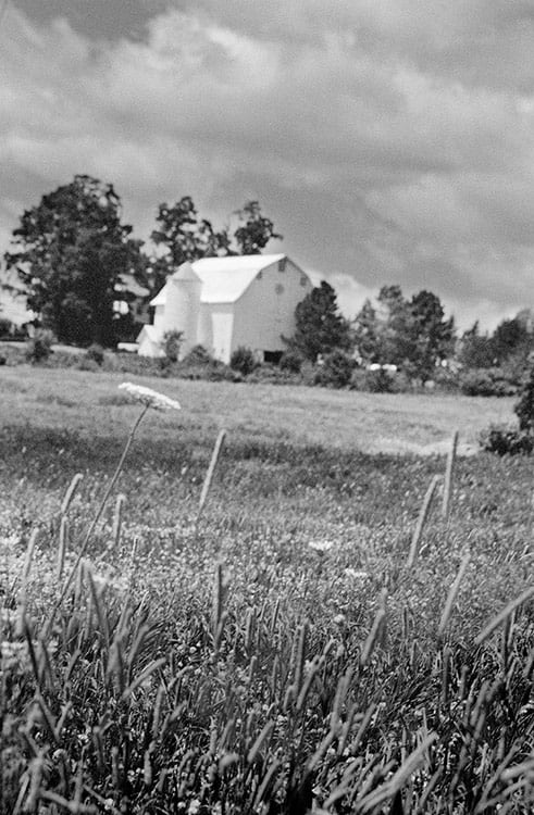 Barn Integrity