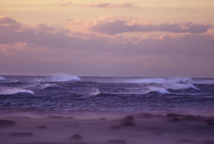 Film photographs: Cape Cod National Seashore