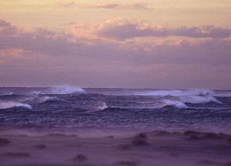 Film photographs: Cape Cod National Seashore
