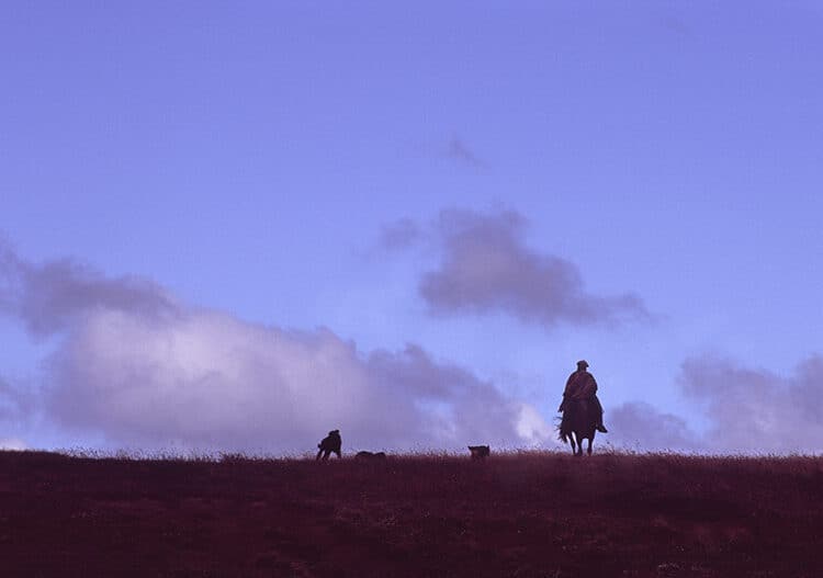 Man and His Best Friend