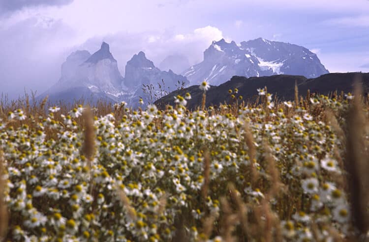 Torres Del Paine