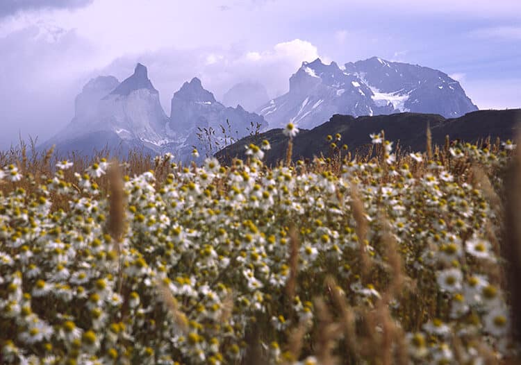 Torres Del Paine