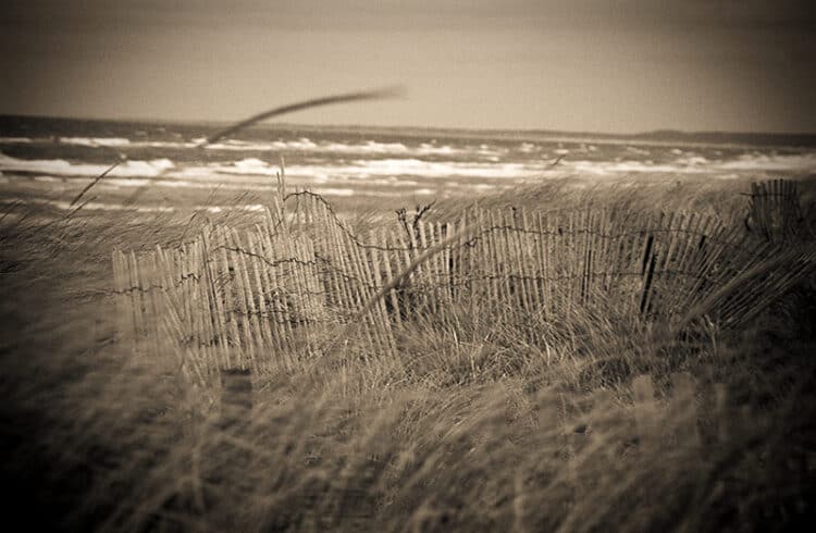 Wind Blown