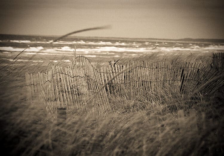 Wind Blown